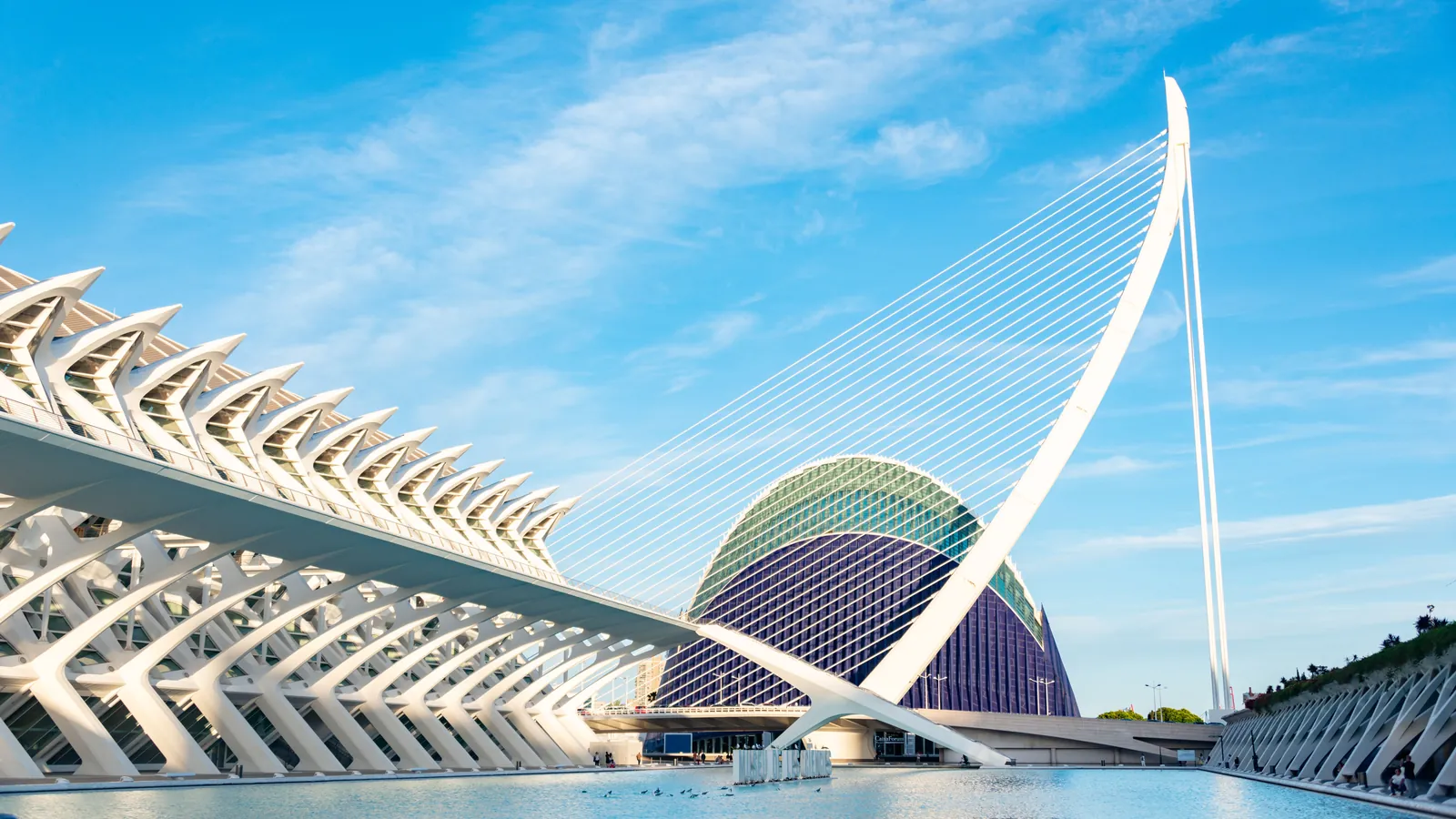 Museo de las Ciencias, el Ágora y el puente de l'Assut de l'Or en la Ciudad de las Artes y las Ciencias de Valencia