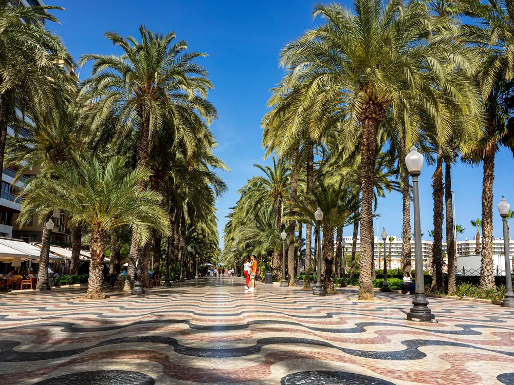Paseo de la Explanada de España de Alicante con su mosaico ondulado y sus palmeras