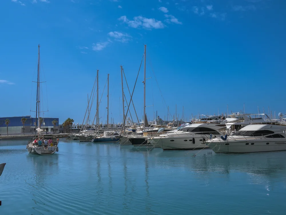 Veleros y yates amarrados en un puerto deportivo con un velero saliendo a navegar