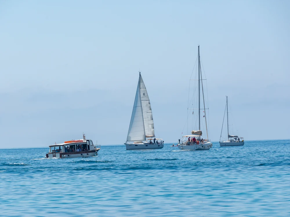 Veleros y una embarcación de excursión con pasajeros navegando frente a la costa